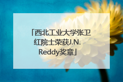 西北工业大学张卫红院士荣获J.N.Reddy奖章