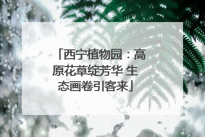 西宁植物园：高原花草绽芳华 生态画卷引客来