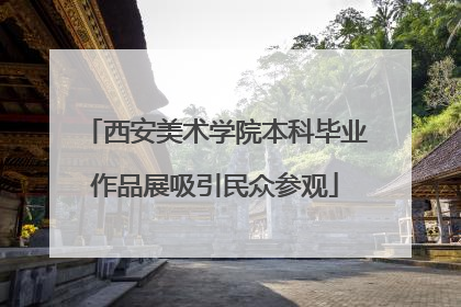西安美术学院本科毕业作品展吸引民众参观