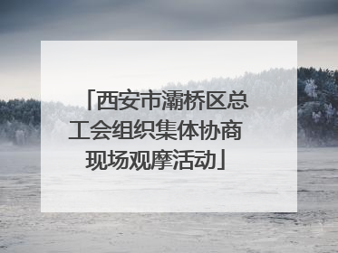 西安市灞桥区总工会组织集体协商现场观摩活动