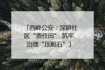 西峰公安：深耕社区“责任田” 筑牢治理“压舱石”