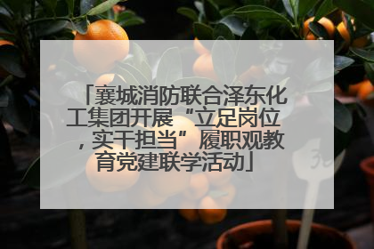 襄城消防联合泽东化工集团开展“立足岗位，实干担当”履职观教育党建联学活动