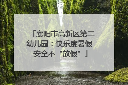 襄阳市高新区第二幼儿园：快乐度暑假 安全不“放假”