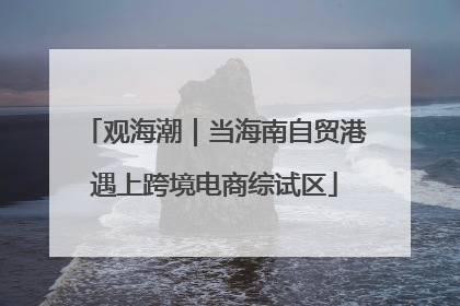 观海潮｜当海南自贸港遇上跨境电商综试区