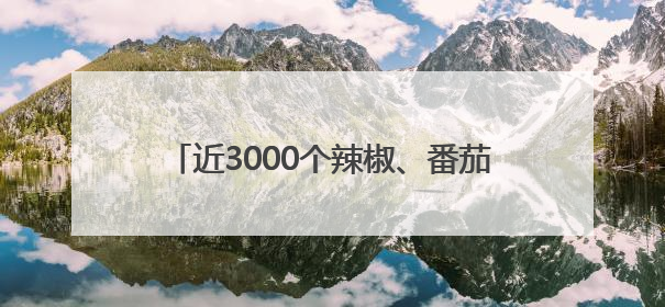 近3000个辣椒、番茄、玉米等蔬果新品种亮相，成都种业博览会在蓉开幕