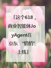 这个618，商业智能体JoyAgent在京东 “悄悄” 上线