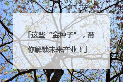 这些“金种子”，带你解锁未来产业！