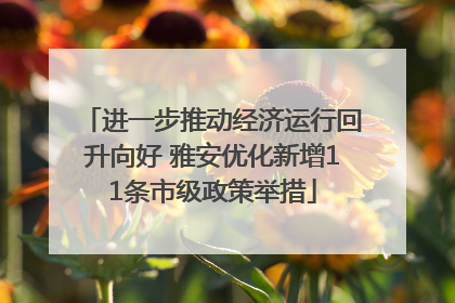 进一步推动经济运行回升向好 雅安优化新增11条市级政策举措