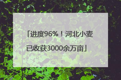 进度96%！河北小麦已收获3000余万亩