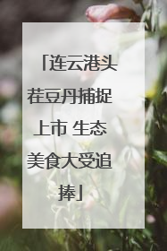 连云港头茬豆丹捕捉上市 生态美食大受追捧