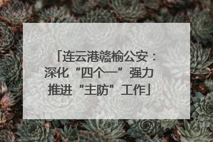 连云港赣榆公安：深化“四个一”强力推进“主防”工作