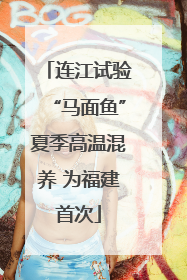 连江试验“马面鱼”夏季高温混养 为福建首次