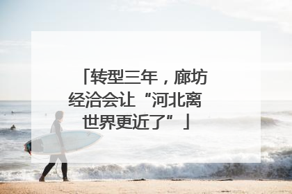 转型三年，廊坊经洽会让“河北离世界更近了”