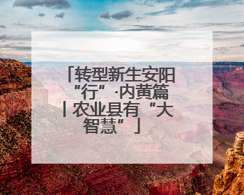 转型新生安阳“行”·内黄篇丨农业县有“大智慧”