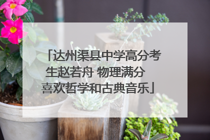 达州渠县中学高分考生赵若舟 物理满分 喜欢哲学和古典音乐