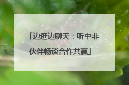 边逛边聊天：听中非伙伴畅谈合作共赢
