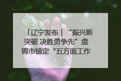 辽宁发布｜“振兴新突破 决胜勇争先”盘锦市锚定“五方面工作”力争全年地区生产总值增长5.5%左右