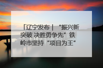 辽宁发布｜“振兴新突破 决胜勇争先”铁岭市坚持“项目为王”推进经济高质量发展
