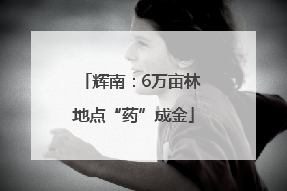 辉南：6万亩林地点“药”成金