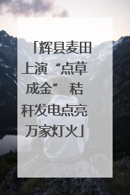 辉县麦田上演“点草成金” 秸秆发电点亮万家灯火