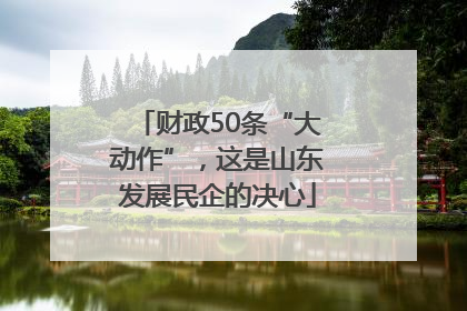 财政50条“大动作”，这是山东发展民企的决心
