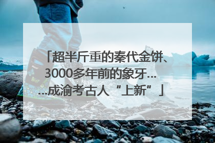 超半斤重的秦代金饼、3000多年前的象牙……成渝考古人“上新”