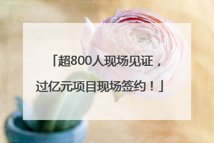 超800人现场见证，过亿元项目现场签约！