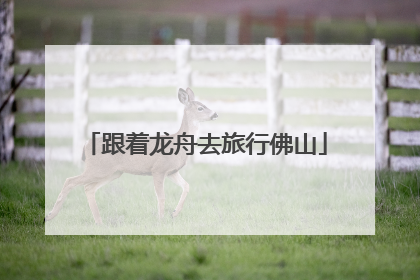 跟着龙舟去旅行佛山