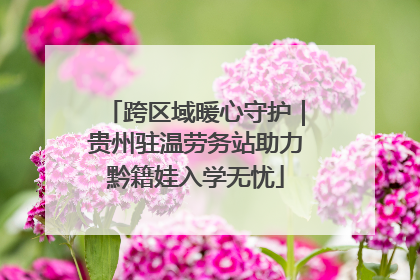 跨区域暖心守护｜贵州驻温劳务站助力黔籍娃入学无忧