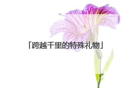 跨越千里的特殊礼物