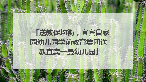送教促均衡，宜宾鲁家园幼儿园学前教育集团送教宜宾一曼幼儿园