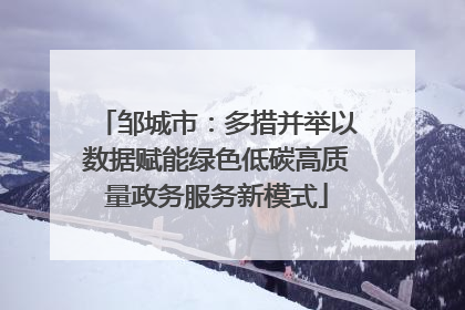 邹城市：多措并举以数据赋能绿色低碳高质量政务服务新模式
