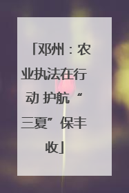 邓州：农业执法在行动 护航“三夏”保丰收