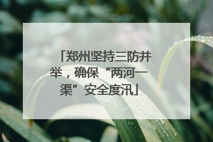 郑州坚持三防并举，确保“两河一渠”安全度汛