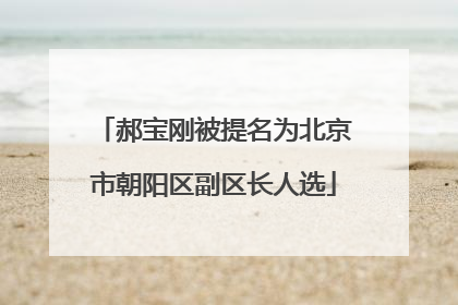 郝宝刚被提名为北京市朝阳区副区长人选