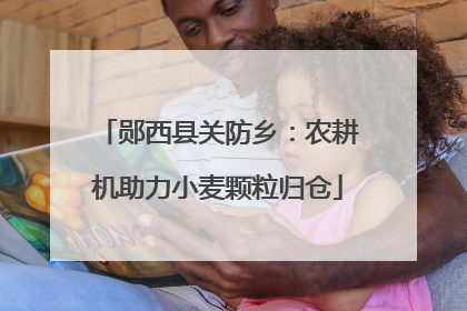 郧西县关防乡：农耕机助力小麦颗粒归仓