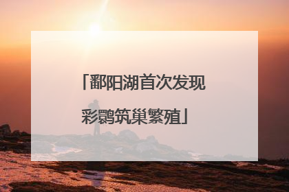 鄱阳湖首次发现彩鹮筑巢繁殖