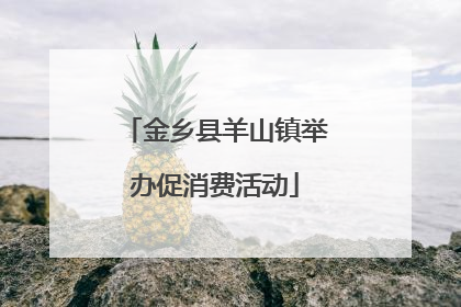 金乡县羊山镇举办促消费活动