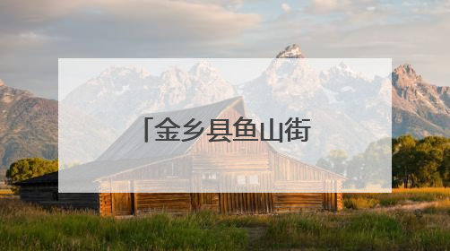 金乡县鱼山街道开展“三防”护苗活动