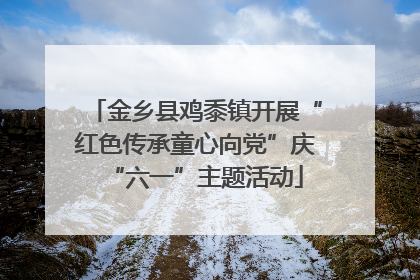 金乡县鸡黍镇开展“红色传承童心向党”庆“六一”主题活动