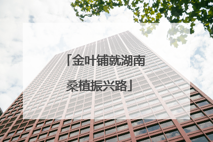 金叶铺就湖南桑植振兴路