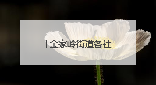 金家岭街道各社区举办“我们的节日·端午”新时代文明实践活动