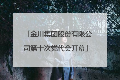 金川集团股份有限公司第十次党代会开幕