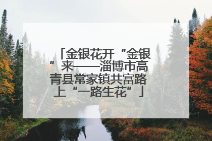 金银花开“金银”来——淄博市高青县常家镇共富路上“一路生花”