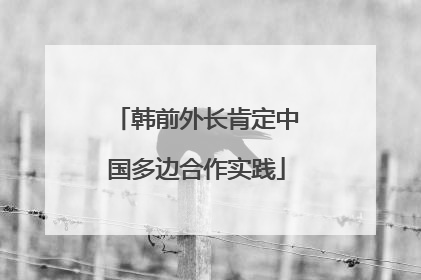 韩前外长肯定中国多边合作实践