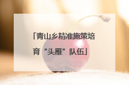 青山乡精准施策培育“头雁”队伍