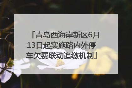 青岛西海岸新区6月13日起实施路内外停车欠费联动追缴机制