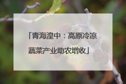 青海湟中：高原冷凉蔬菜产业助农增收