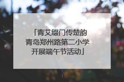 青艾缀门传楚韵 青岛郑州路第二小学开展端午节活动