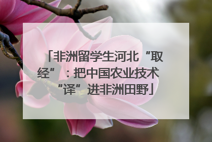 非洲留学生河北“取经”：把中国农业技术“译”进非洲田野